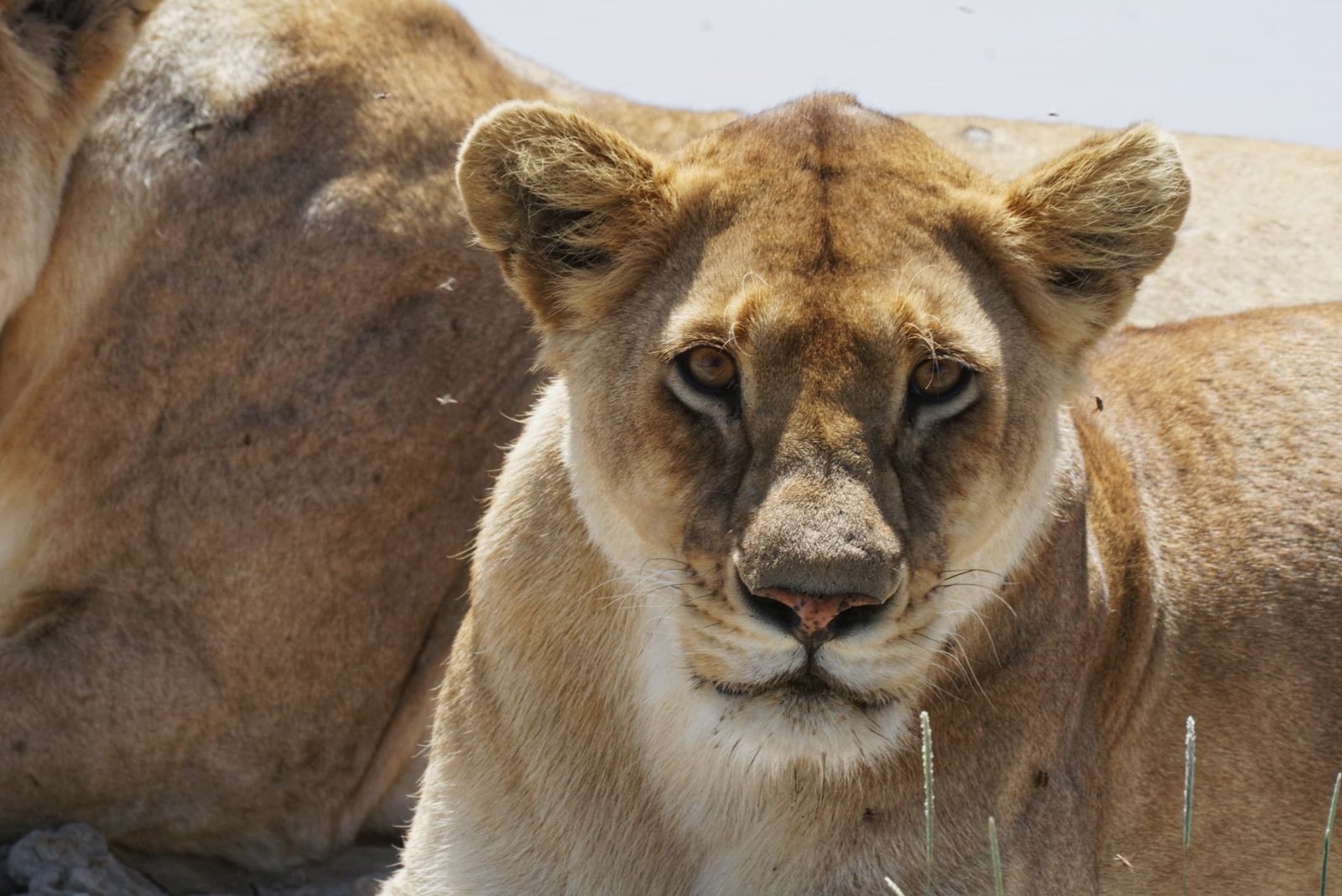 Tour Gallery Image 1