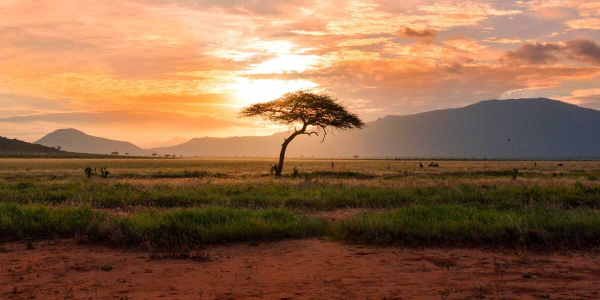 3-Day Senkelle Sanctuary, Maze National Park & Abijatta–Shall gallery image