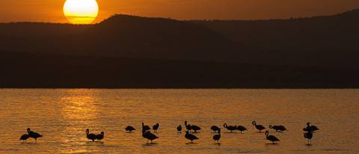 3-Day Senkelle Sanctuary, Maze National Park & Abijatta–Shall gallery image