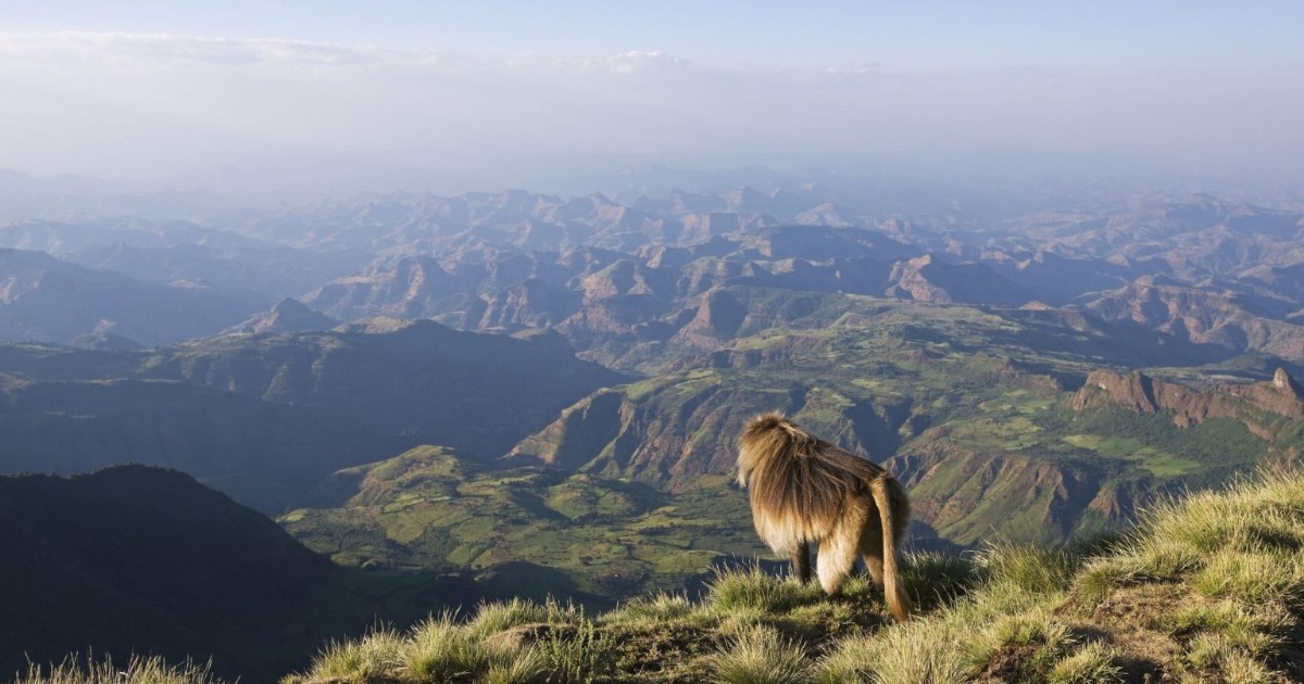3-Day Simien Mountain Trekking Tours