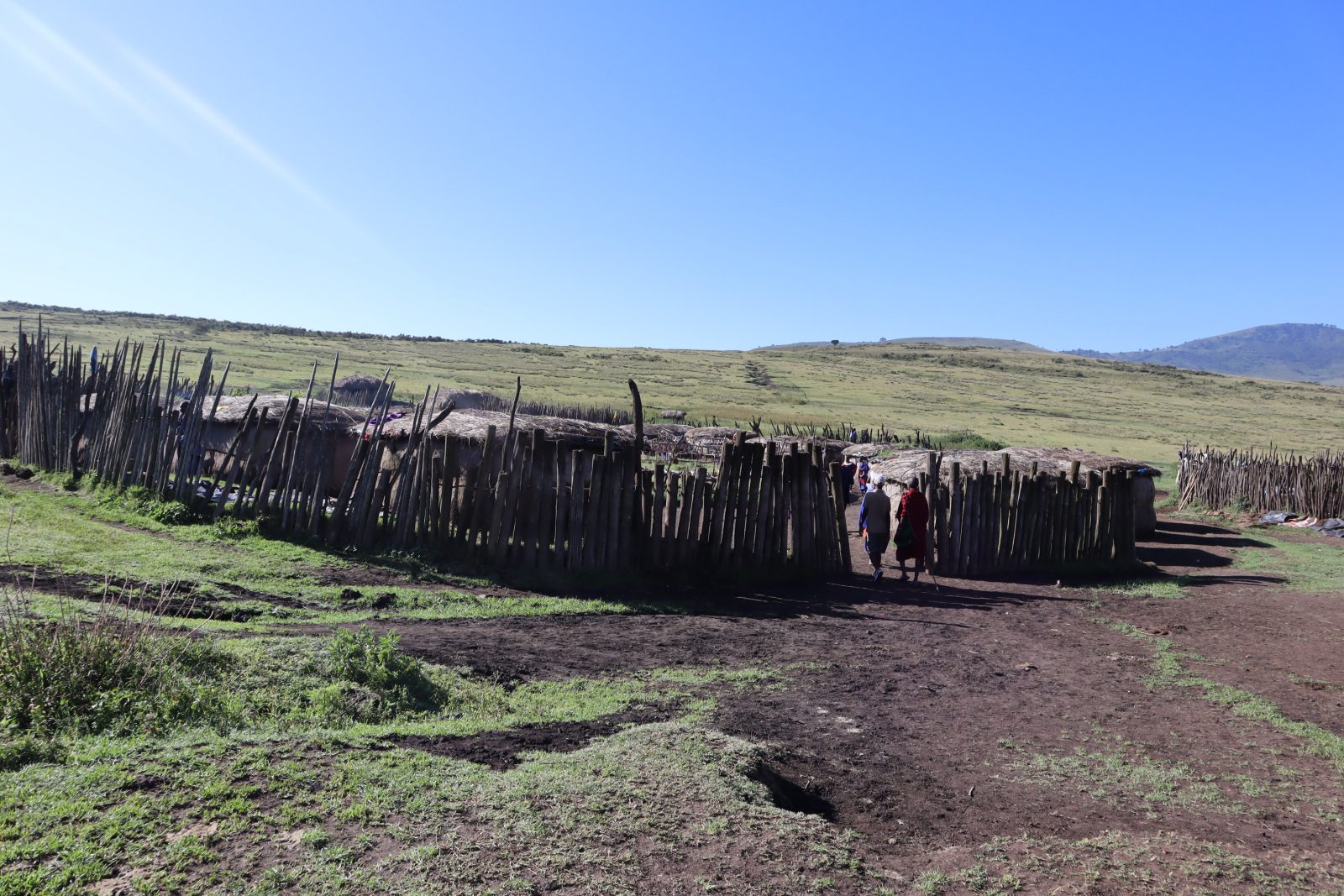 2-Day Tarangire & Ngorongoro Crater Safari