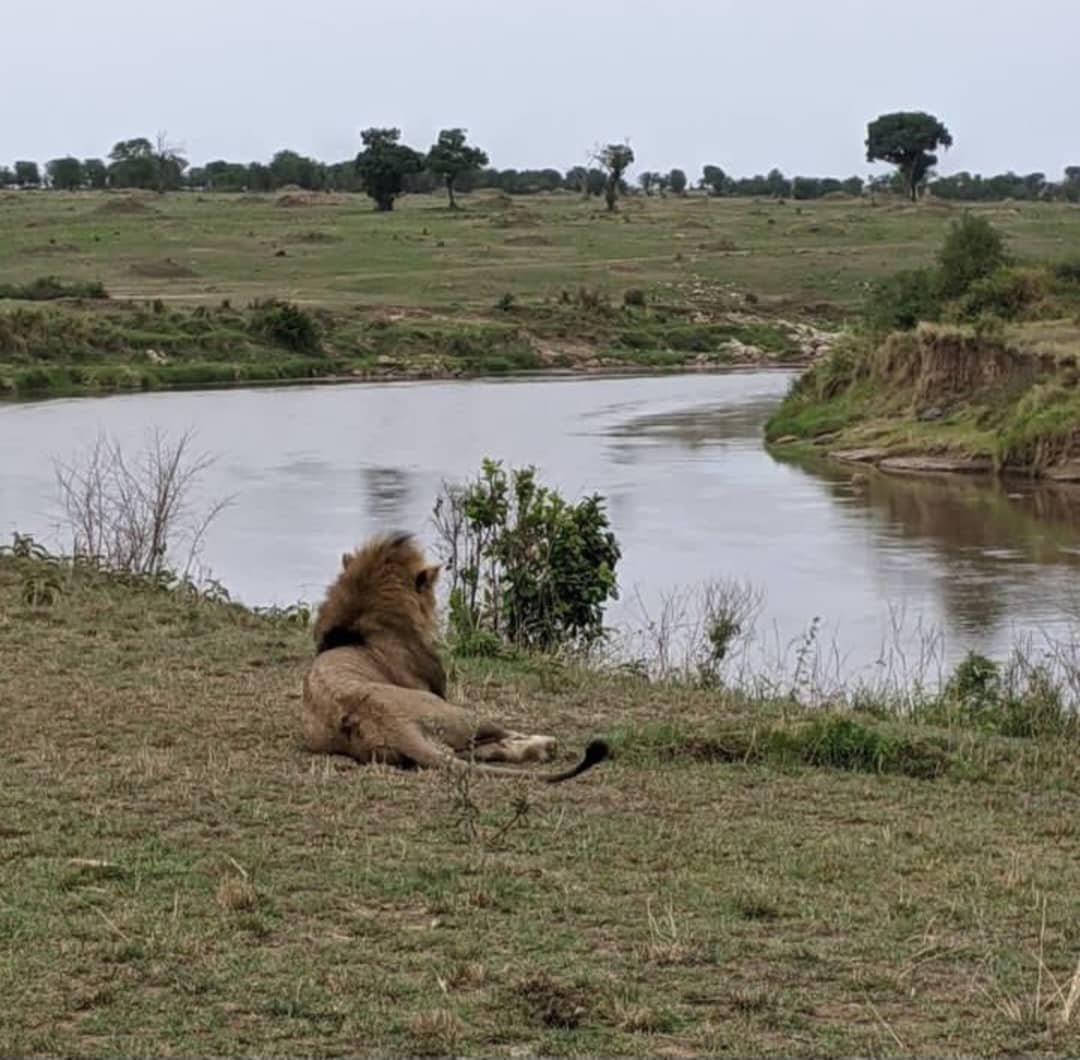 Rafiki Tembo Tours And Safaris