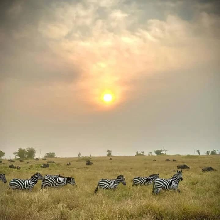 Rafiki Tembo Tours And Safaris