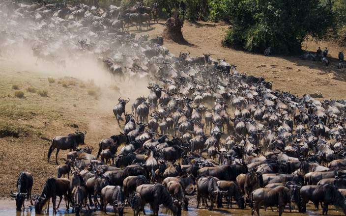 8-Day Tanzania Ultimate Safari Experience to Zanzibar Escape. gallery image