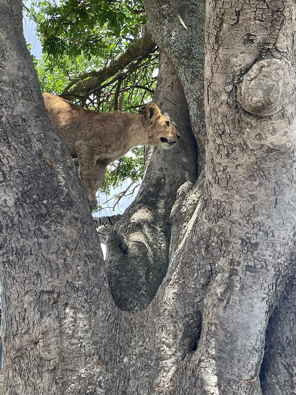 Tour Gallery Image 2