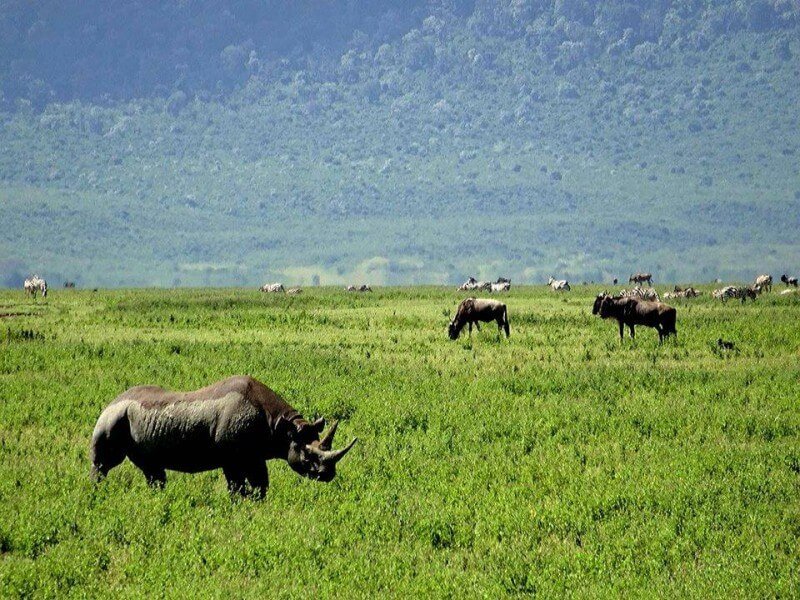 Tour Gallery Image 3