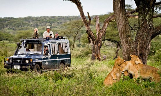 Tour Gallery Image 4