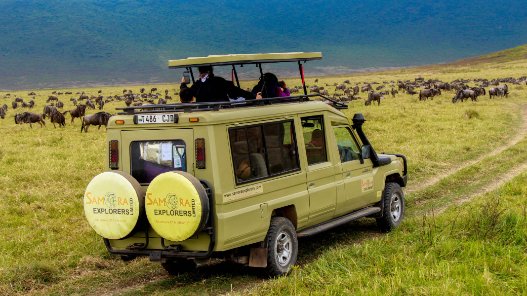 4-Day The Short of Tanzania Safari (Come, Watch & Go)