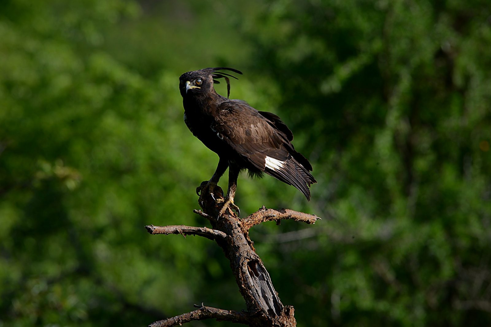 19-Day The Ultimate Wilderness & Ocean Retreat gallery image