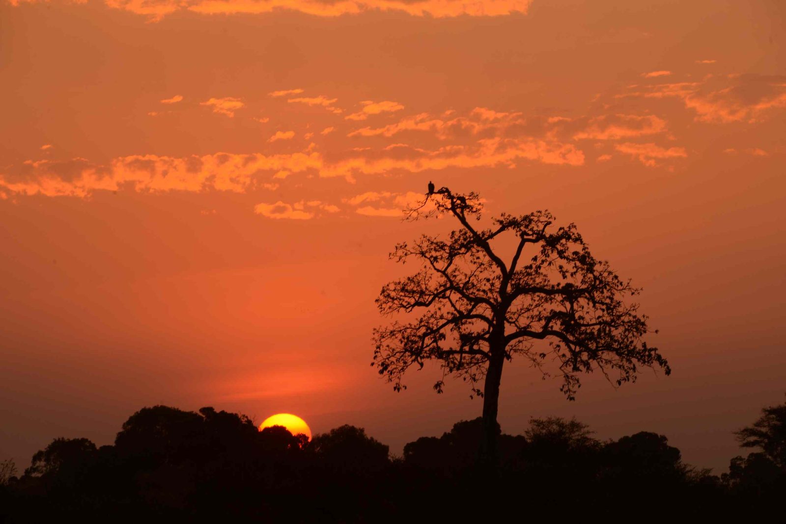 19-Day The Ultimate Wilderness & Ocean Retreat gallery image