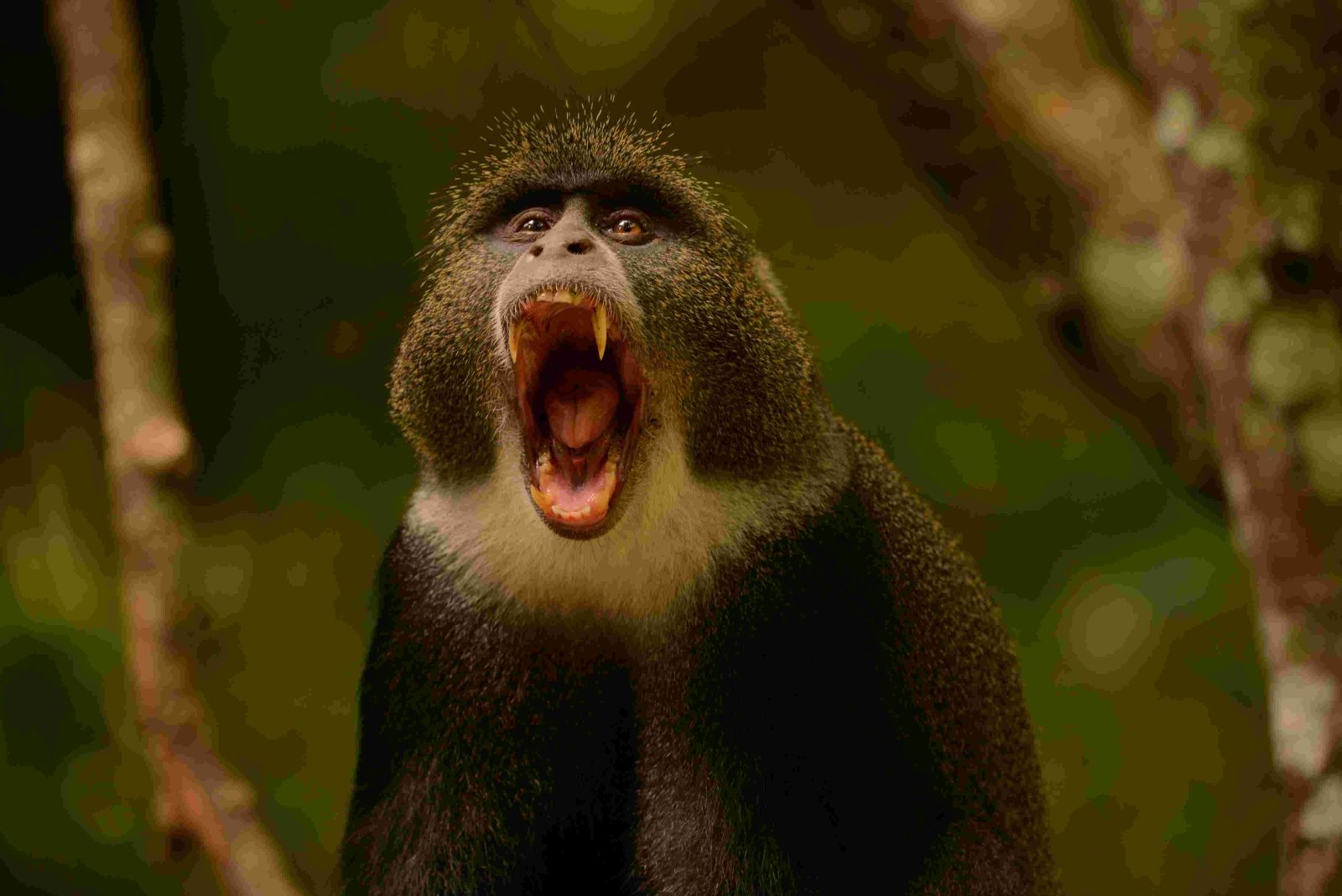 19-Day The Ultimate Wilderness & Ocean Retreat gallery image