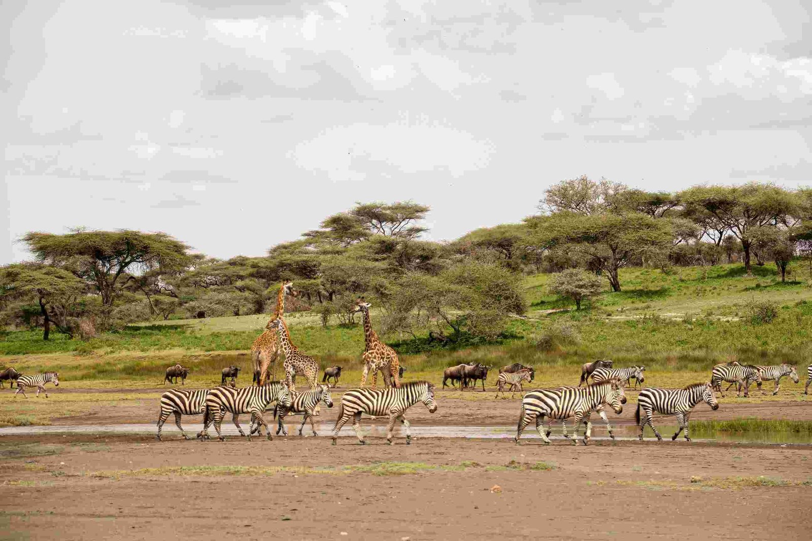 Tour Gallery Image 4