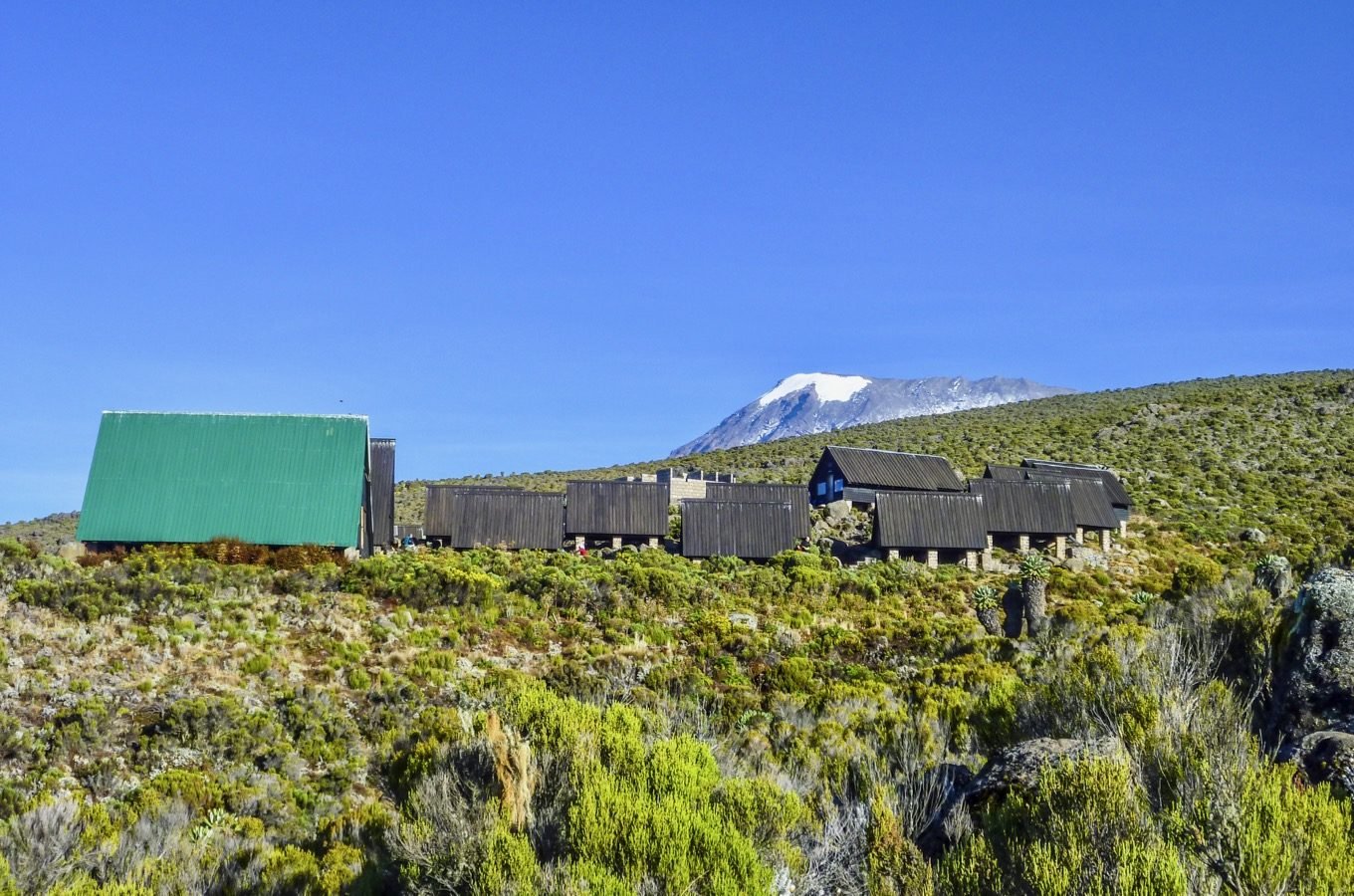Lui Tours And Safaris