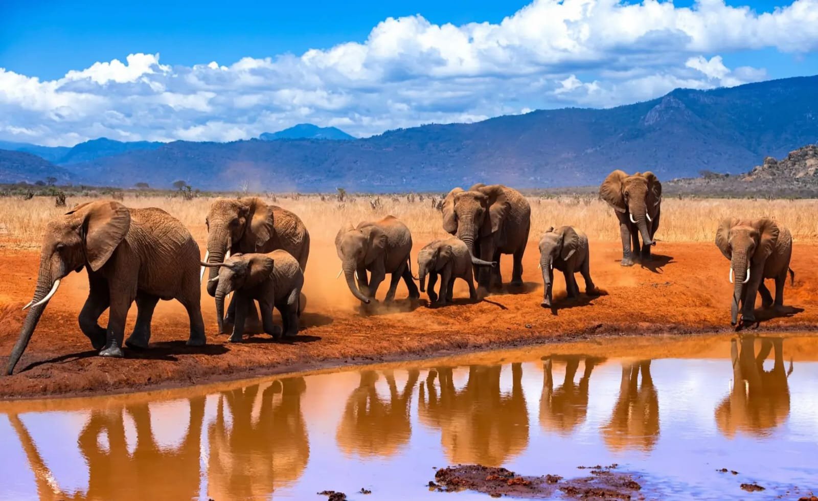 Tour Gallery Image 1