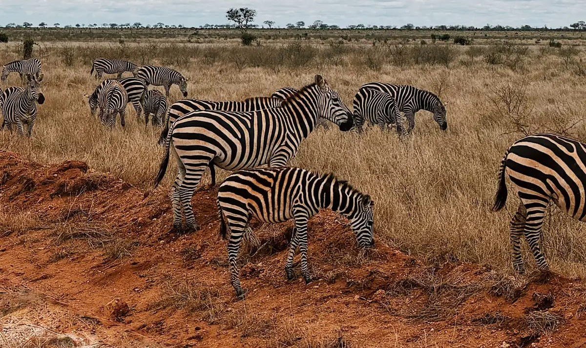 Tour Gallery Image 2