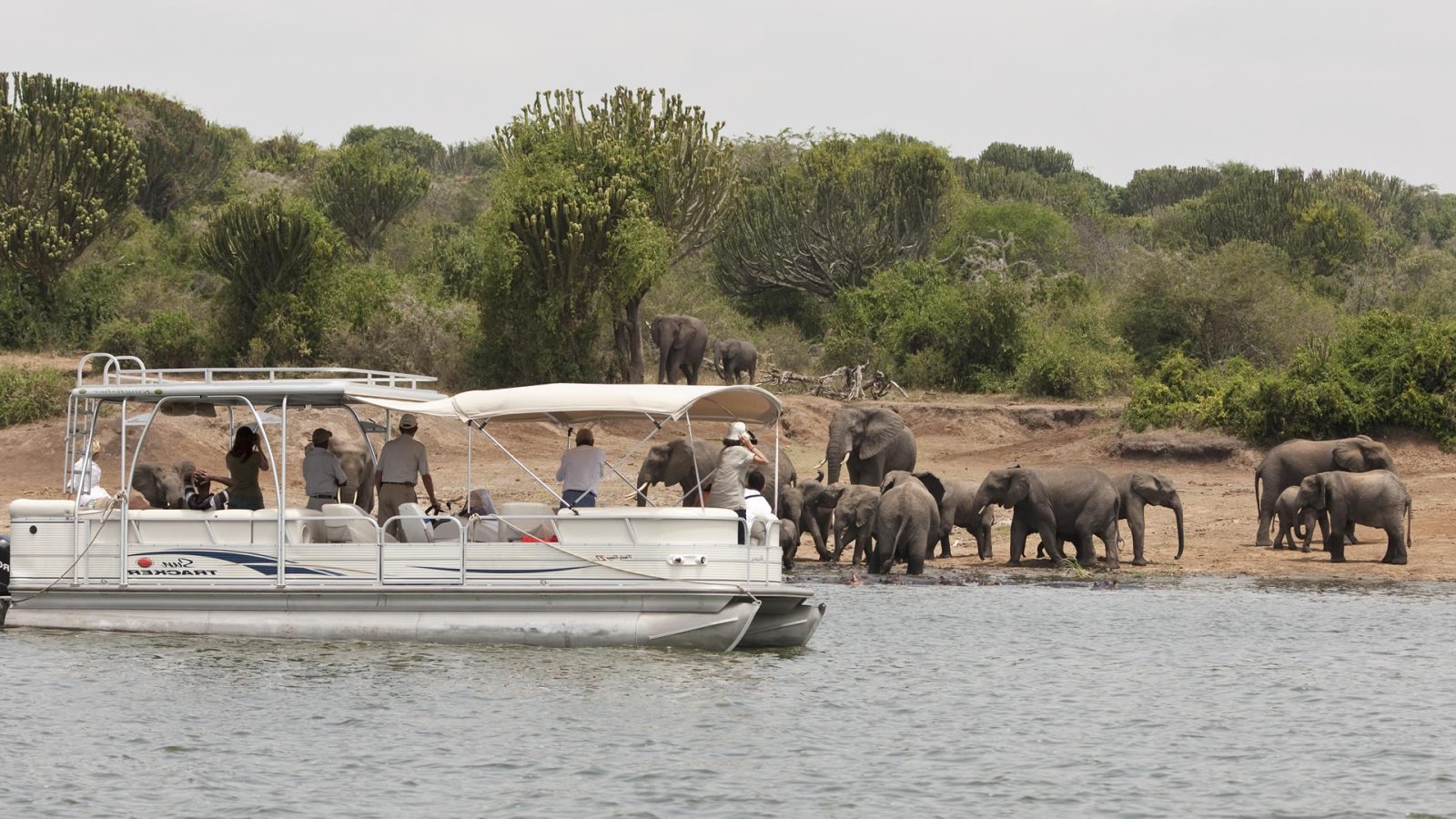 6-Day Uganda Wildlife, Chimpanzee and Gorilla Tracking Safari gallery image