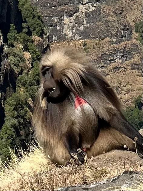 Tour Gallery Image 1