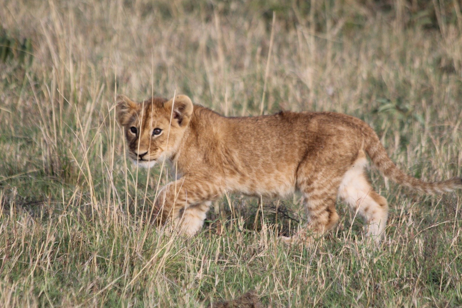 Tour Gallery Image 1