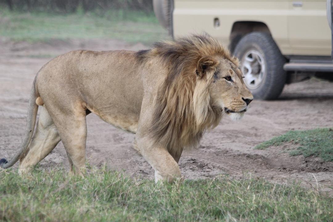 Tour Gallery Image 4