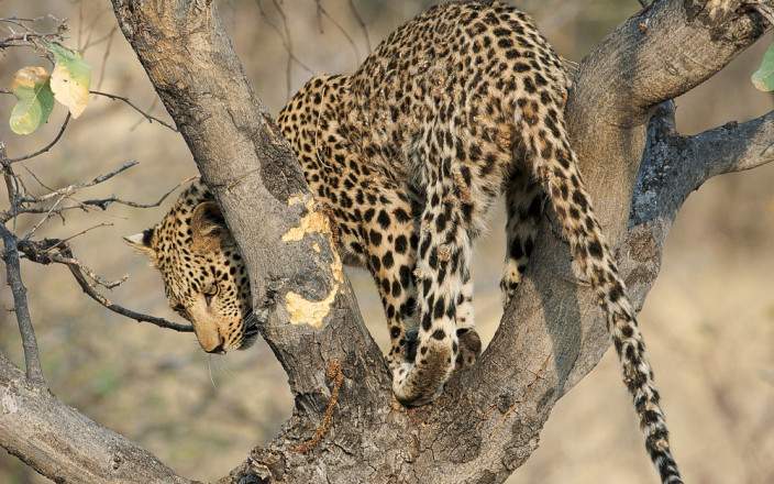 5-Day Zanzibar Escape, Tanzania - Flights Included gallery image
