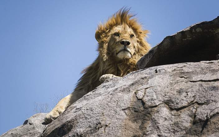 5-Day Zanzibar Escape, Tanzania - Flights Included gallery image