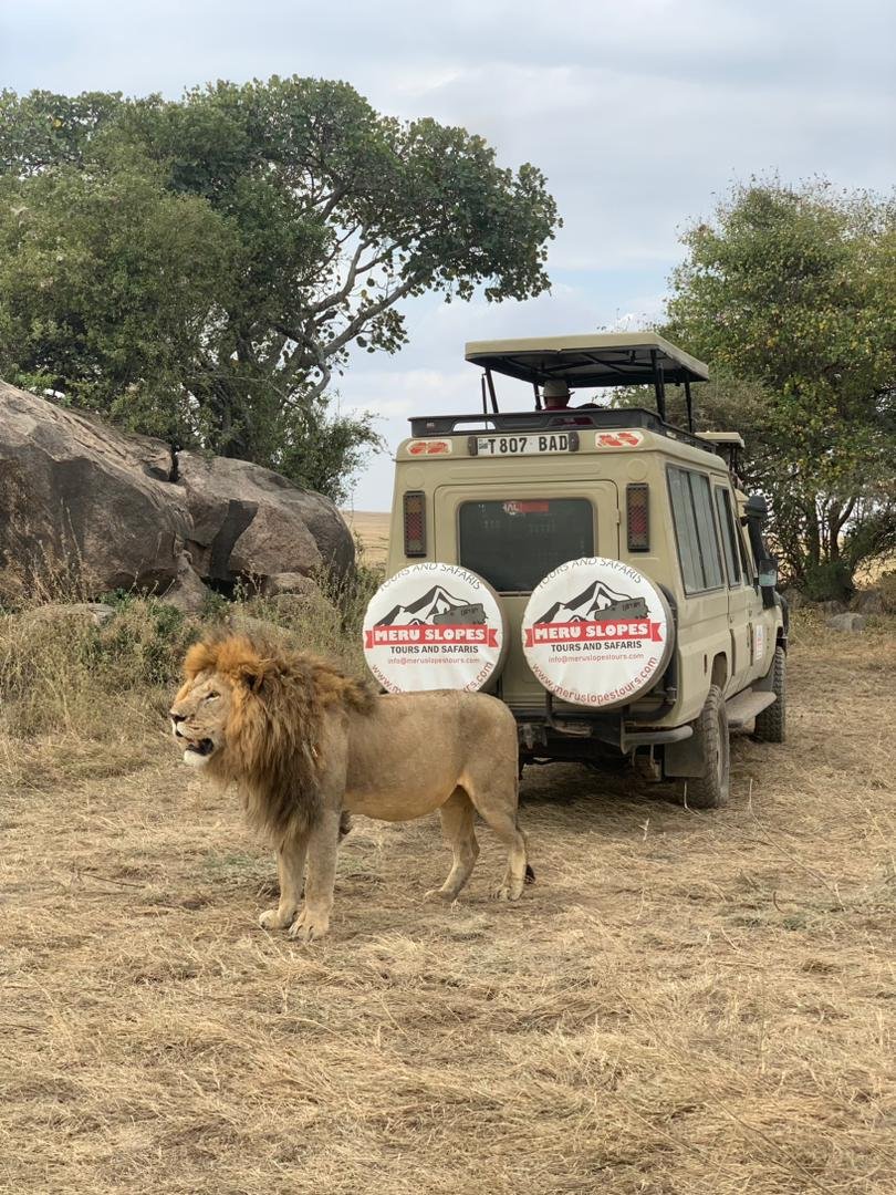 Meru Slopes Tours and Safaris