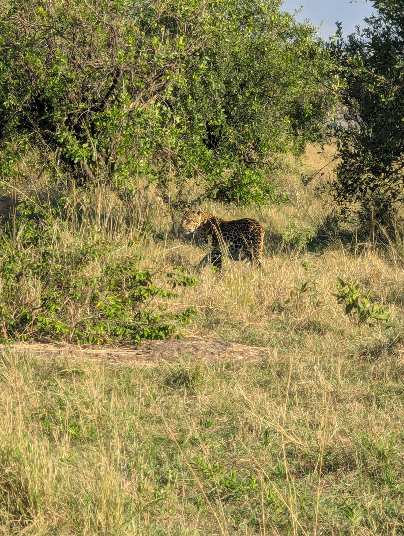 7-Day Multidimensional Tanzania Safari gallery image