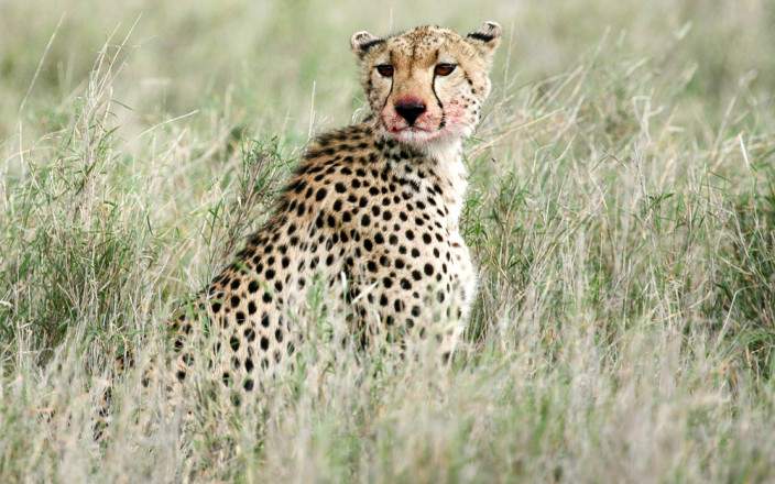 7-Day Nature's Escape - Relax in the Wild gallery image