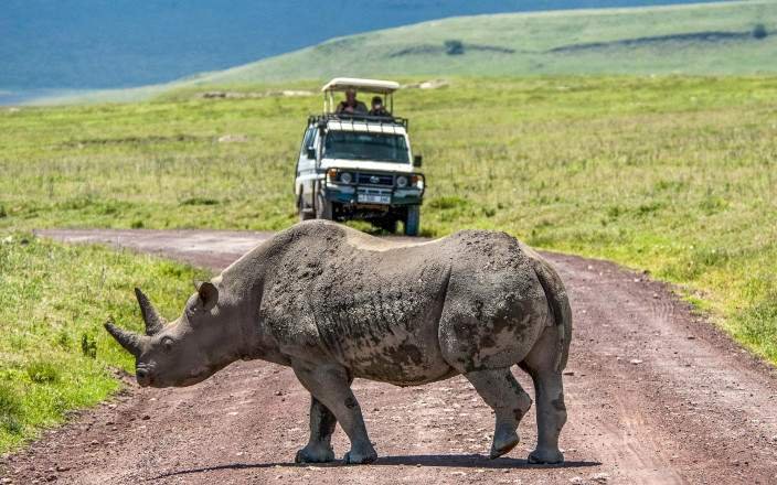  Nature's Escape - Relax in the Wild safari tour