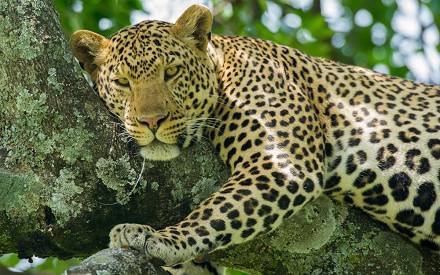 Tour Gallery Image 4