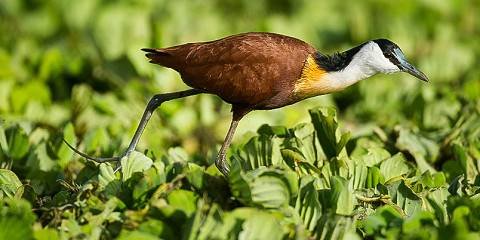 Tour Gallery Image 3