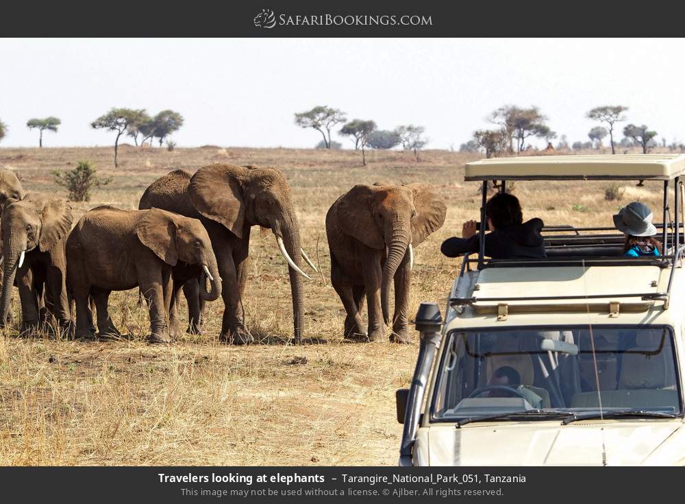 4-Day Tanzania Tarangire National Park, Serengeti , Crater gallery image