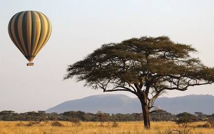 4-Day Tanzania Tarangire National Park, Serengeti , Crater gallery image