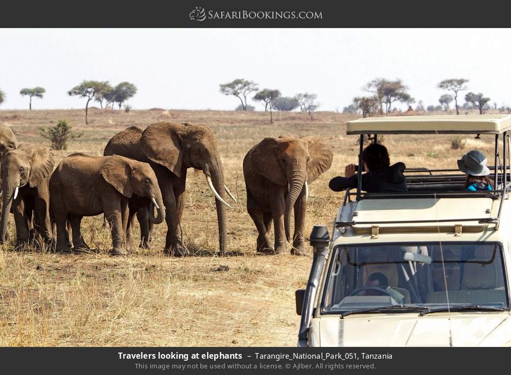 Berngo Safaris, LLC