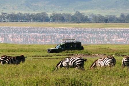 Berngo Safaris, LLC