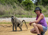 Alfamale tours & Safaris
