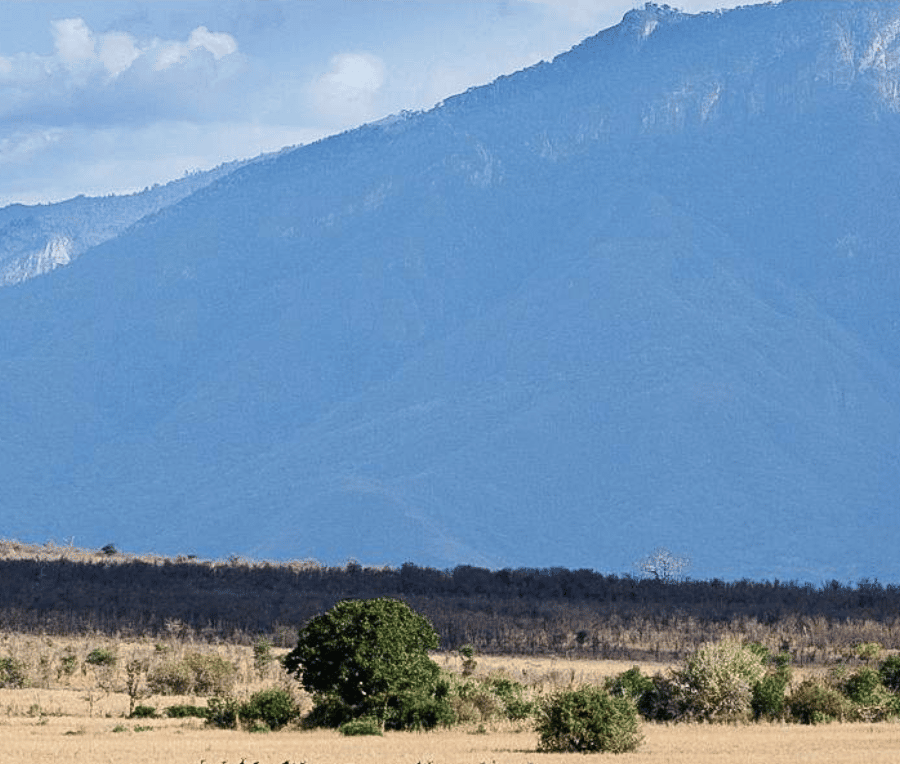 3-Day rhino special in Mkomazi National Park ( stay at bandas gallery image