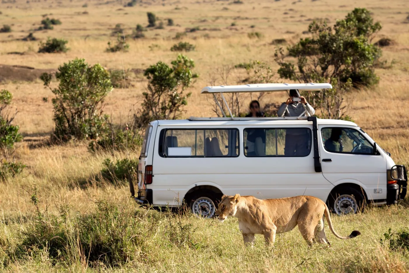 3-Day Explore Safari to Samburu National Reserve