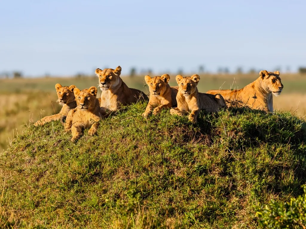4-Day Best of Tanzania Budget Safari