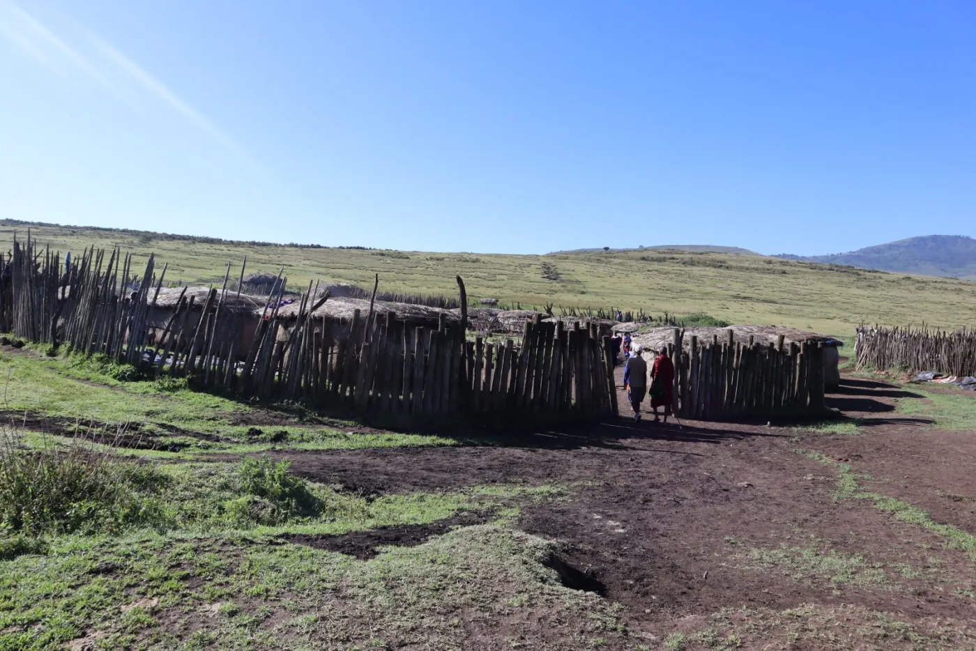 2-Day Tarangire & Ngorongoro Crater Safari