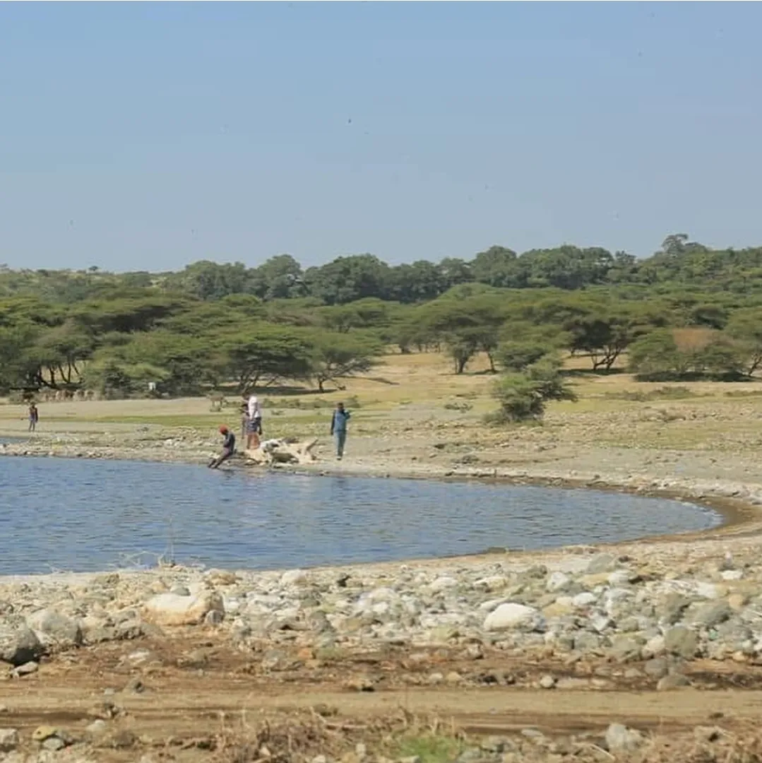 5-Day Ethiopia Rift Valley Lakes Wildlife Nature Escape