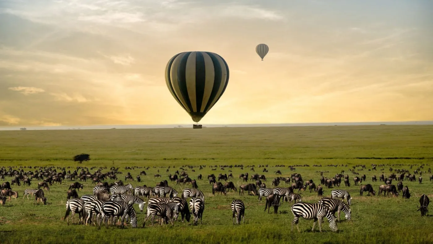 4-Day Serengeti Balloon & Ngorongoro from Zanzibar