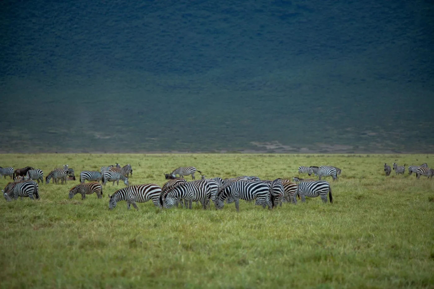 3-Day Serengeti & Ngorongoro Private Camping Safari | Best Ta