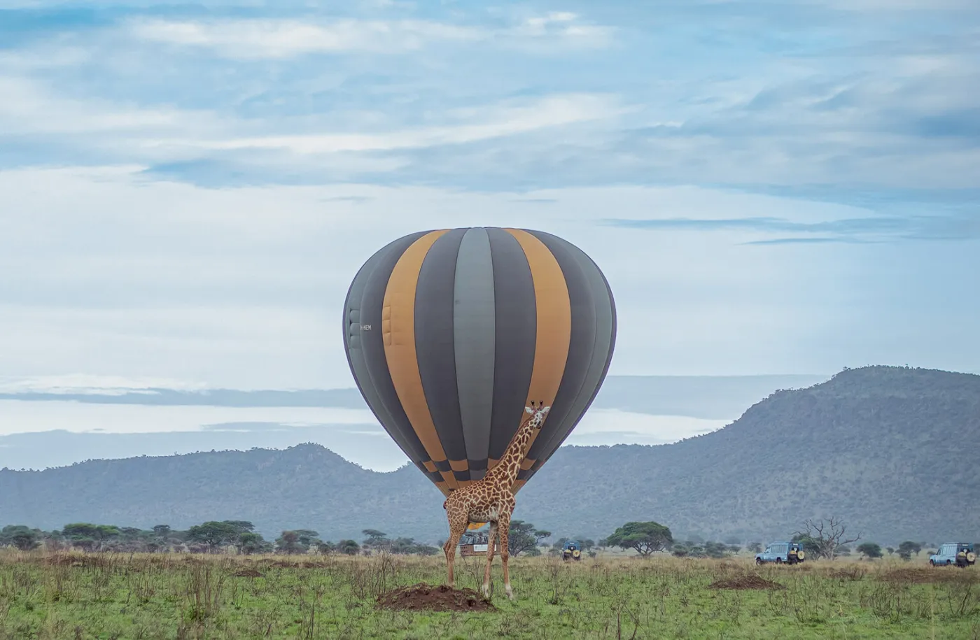 13-Day Bwindi, Serengeti to Zanzibar Safari.