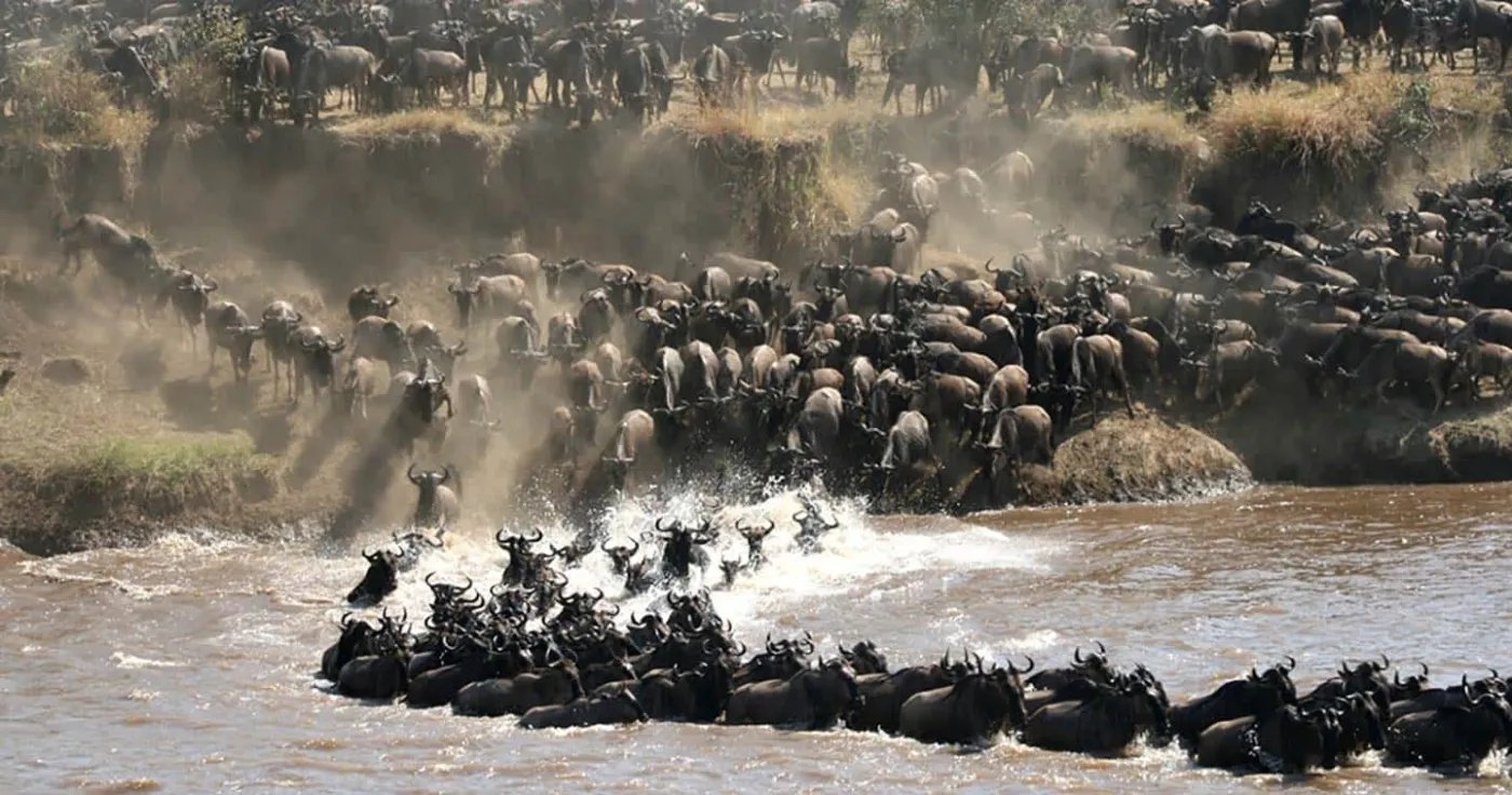 12-Day Northern Tanzania Circuit and Zanzibar