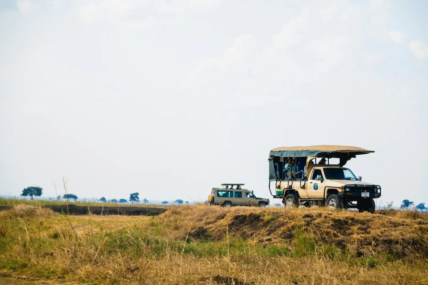 3-Day Mikumi National Park Safari By SGR Train