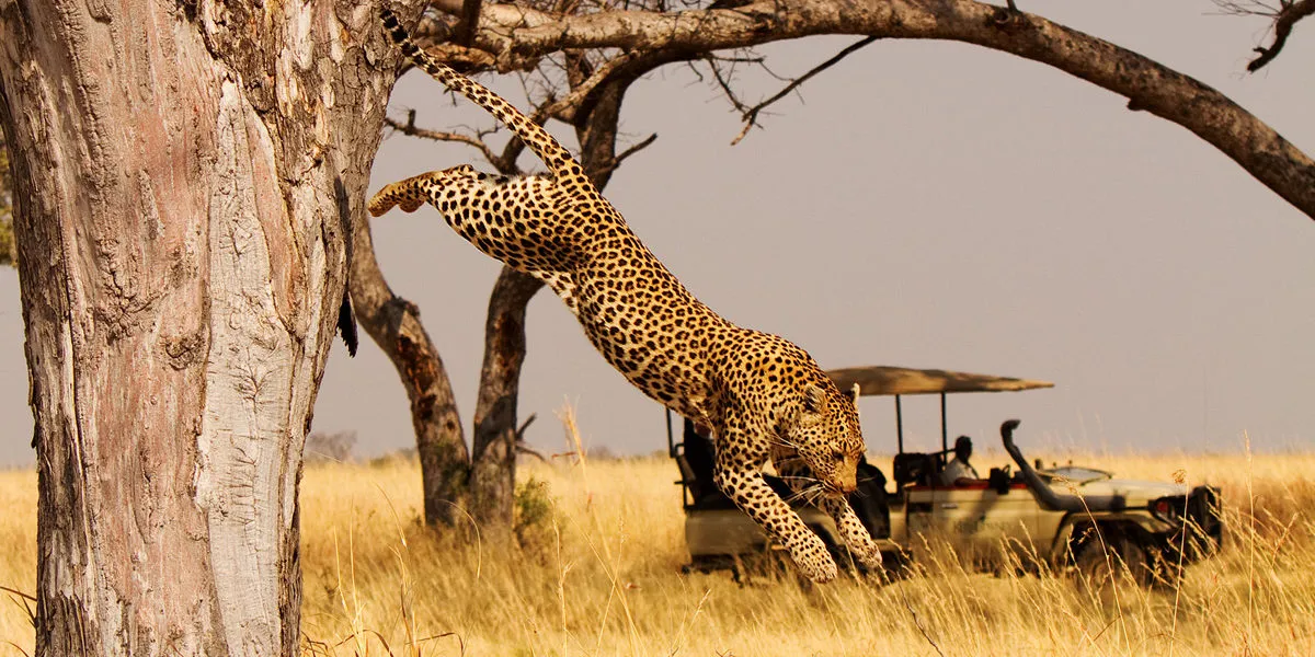 10-Day Masai Mara to Serengeti Via Isebania