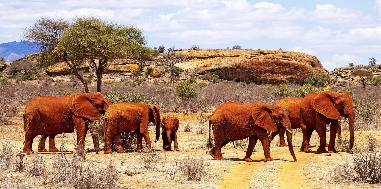 4-Day Tsavo East Untamed Wilderness Safari
