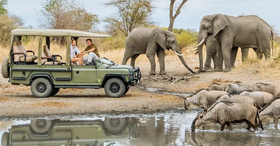 1-Day Mikumi Wonderful Safari By SGR Train & Open Jeep