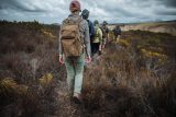 Walking Safaris